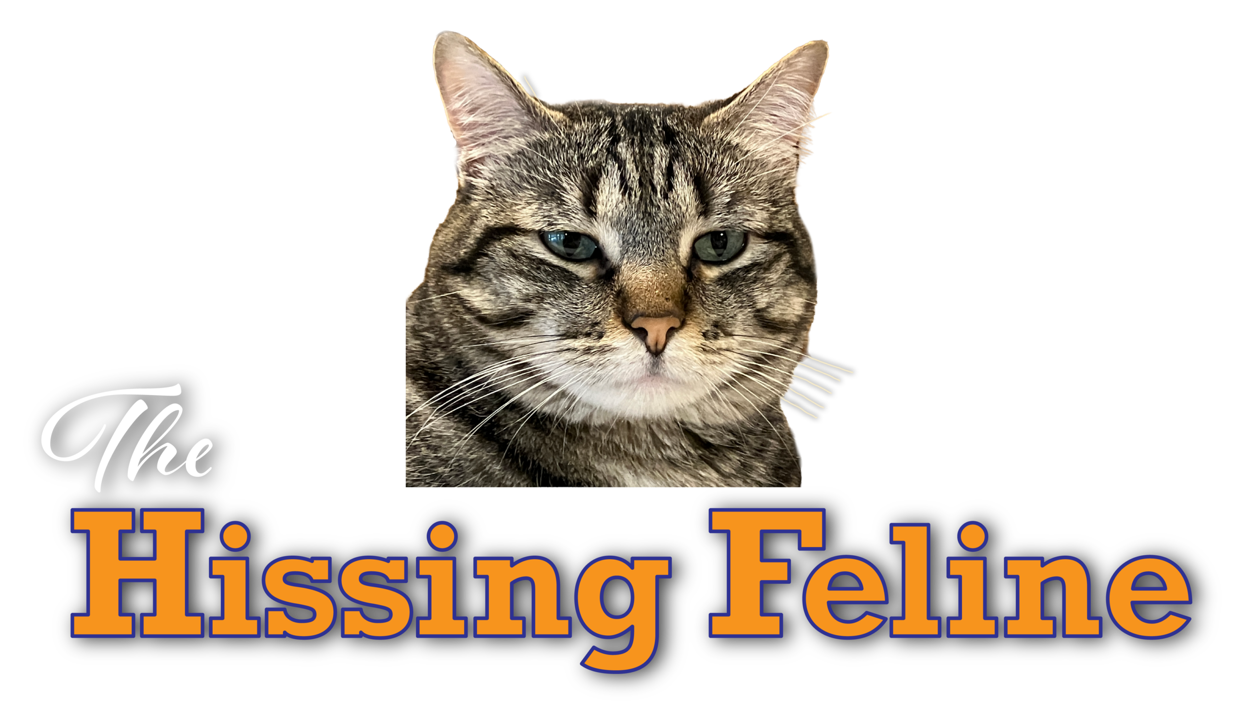 The Hissing Feline